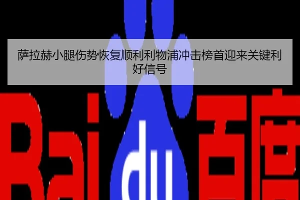 萨拉赫小腿伤势恢复顺利利物浦冲击榜首迎来关键利好信号