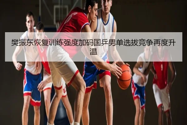 樊振东恢复训练强度加码国乒男单选拔竞争再度升温